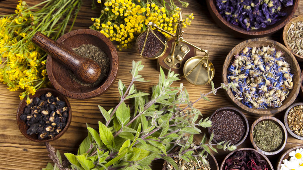 Ayurvedic Medicine Manufacturers In Uttar Pradesh | Best Herbs