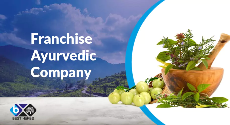 Franchise Ayurvedic Company