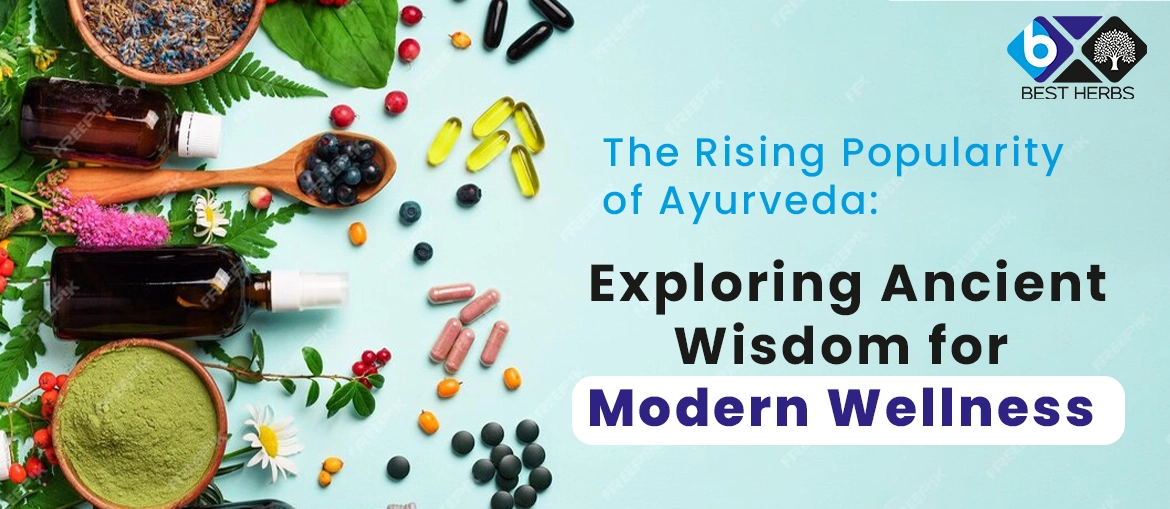 The Rising Popularity of Ayurveda: Exploring Ancient Wisdom for Modern Wellness