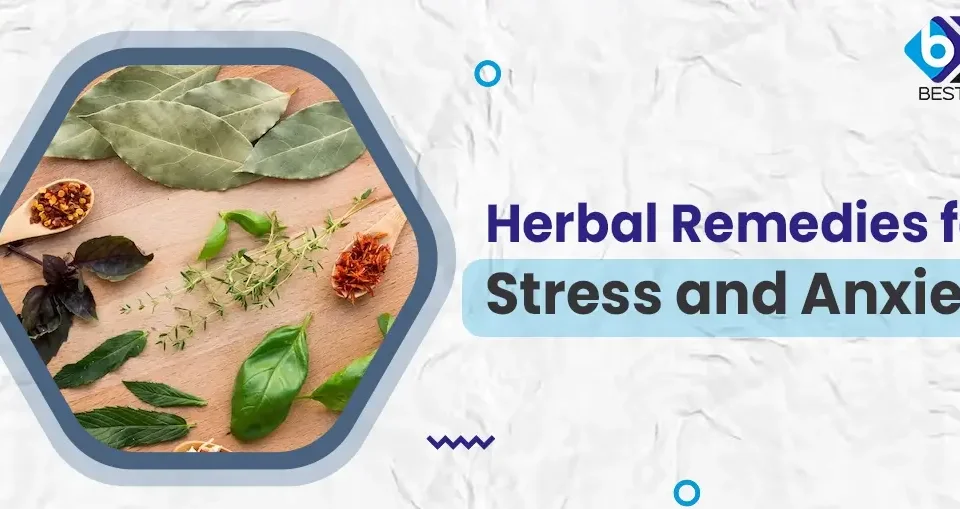 Herbal Remedies for Stress and Anxiety