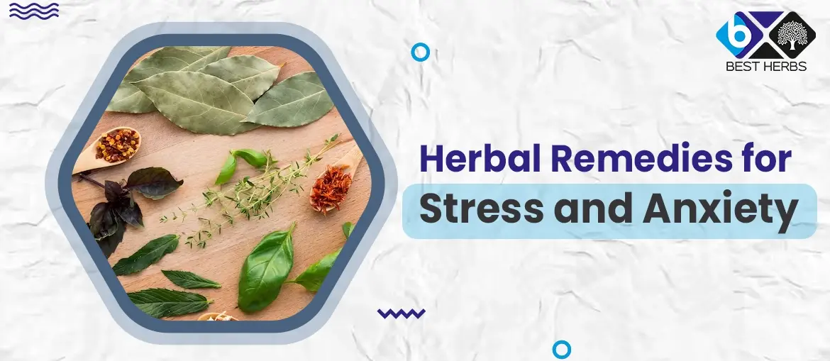 Herbal Remedies for Stress and Anxiety